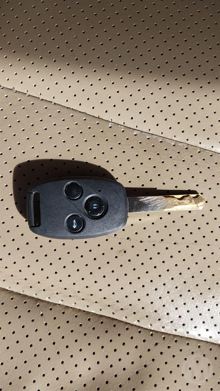 Lazy Owl Image