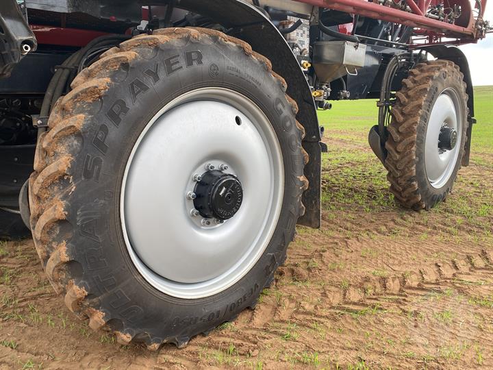 Lazy Owl Image