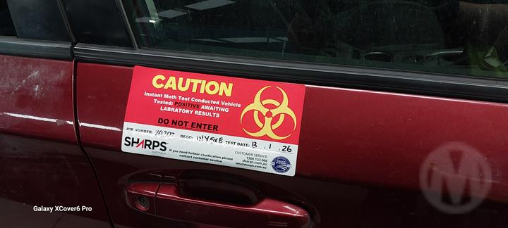 Lazy Owl Image