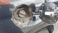 Lazy Owl Image