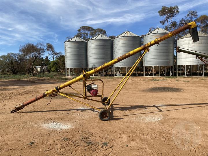 Lazy Owl Image