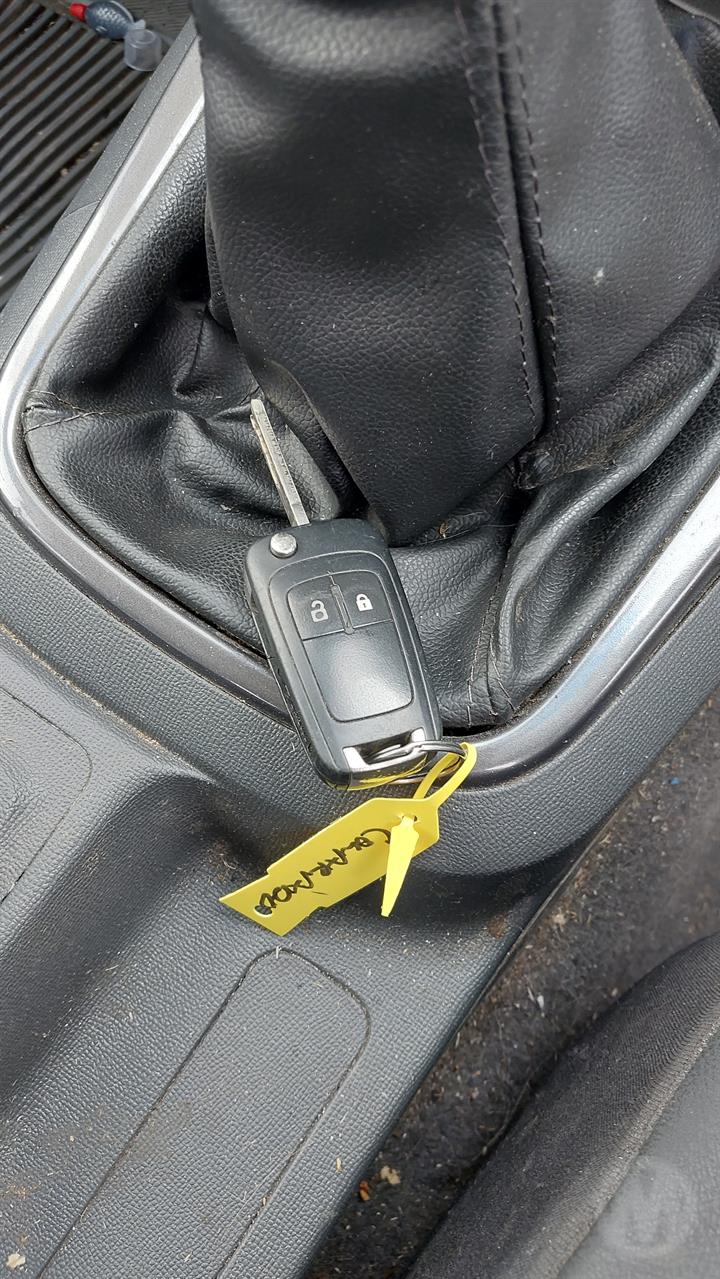 Lazy Owl Image