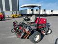 Lazy Owl Image