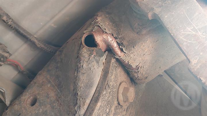 Lazy Owl Image