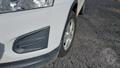 Lazy Owl Image