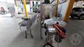 Lazy Owl Image