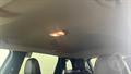 Lazy Owl Image