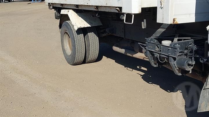 Lazy Owl Image