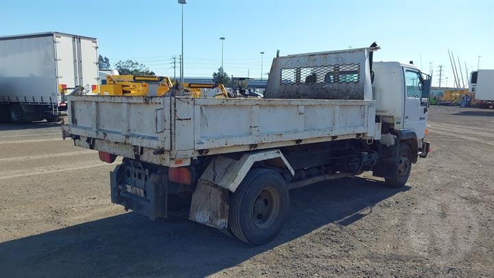 Lazy Owl Image
