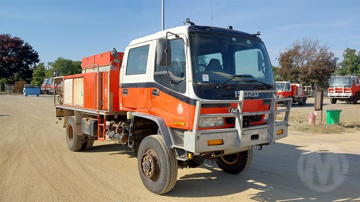 Lazy Owl Image
