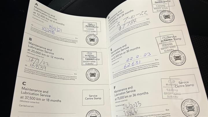 Lazy Owl Image
