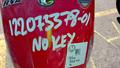 Lazy Owl Image