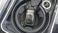 Lazy Owl Image