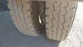 Lazy Owl Image