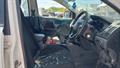 Lazy Owl Image