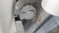 Lazy Owl Image