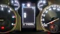 Lazy Owl Image