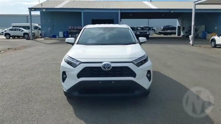 Lazy Owl Image