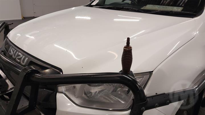 Lazy Owl Image