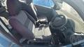Lazy Owl Image