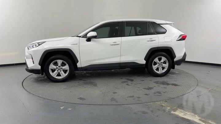 Lazy Owl Image