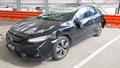 Lazy Owl Image