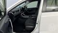 Lazy Owl Image