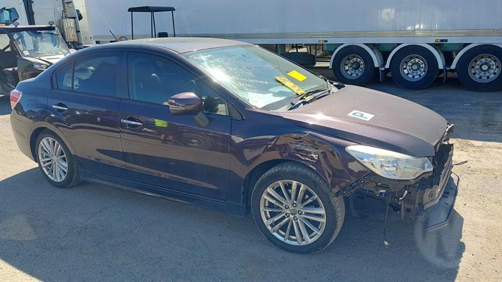 Lazy Owl Image