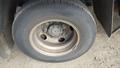Lazy Owl Image