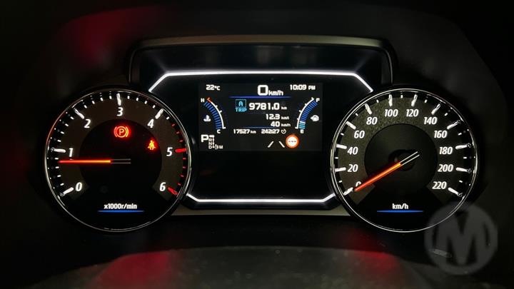 Lazy Owl Image
