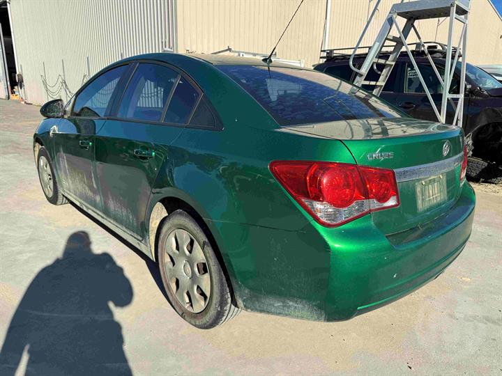Lazy Owl Image