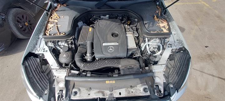 Lazy Owl Image