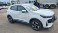 Lazy Owl Image