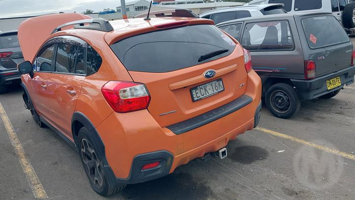 Lazy Owl Image