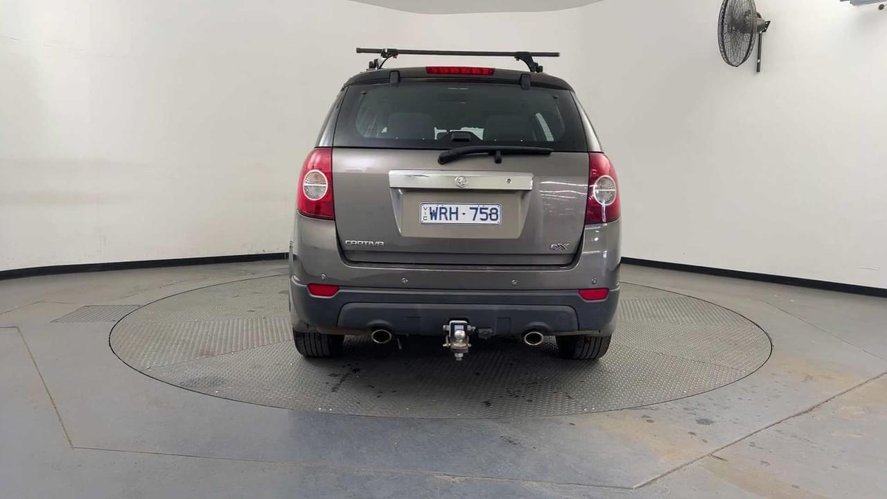 Lazy Owl Image