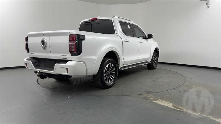 Lazy Owl Image