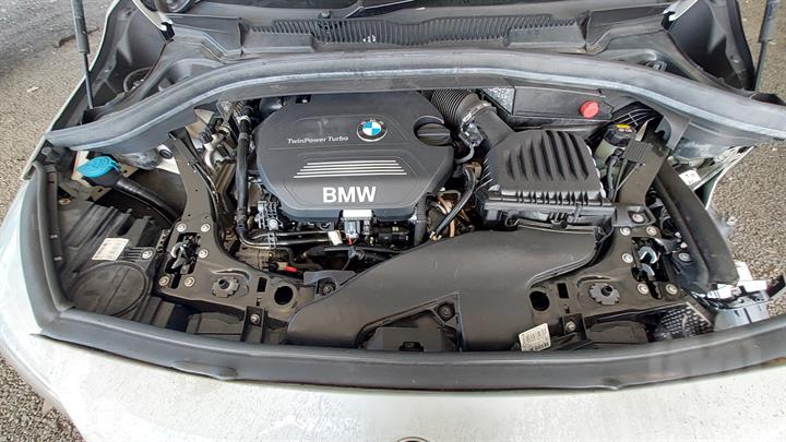Lazy Owl Image