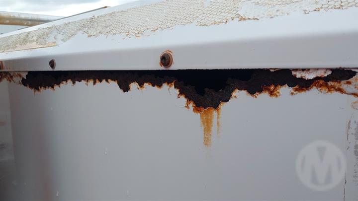 Lazy Owl Image