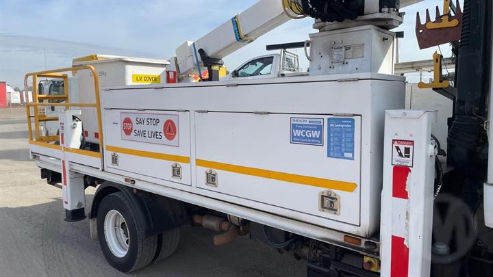 Lazy Owl Image