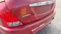 Lazy Owl Image