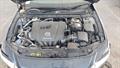 Lazy Owl Image