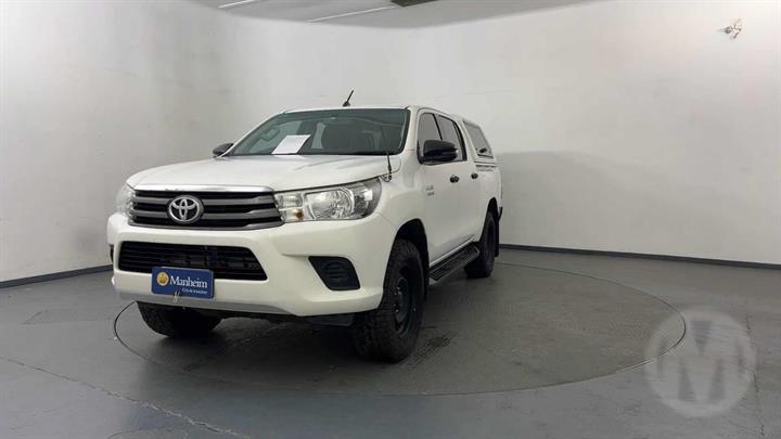 Lazy Owl Image