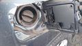 Lazy Owl Image