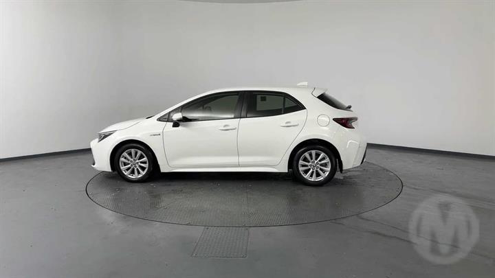 Lazy Owl Image