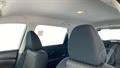 Lazy Owl Image