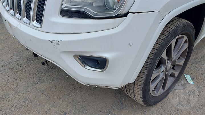 Lazy Owl Image