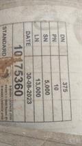 Lazy Owl Image