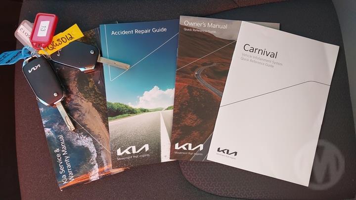 Lazy Owl Image