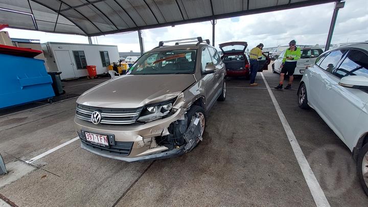 Lazy Owl Image