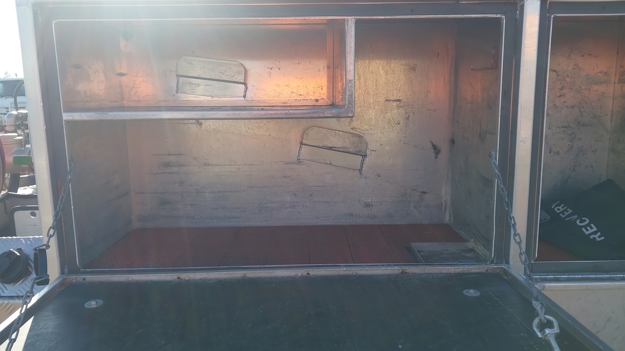 Lazy Owl Image